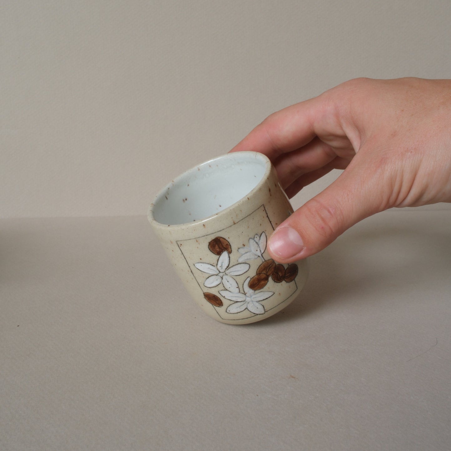 Coffee Plant | Espresso