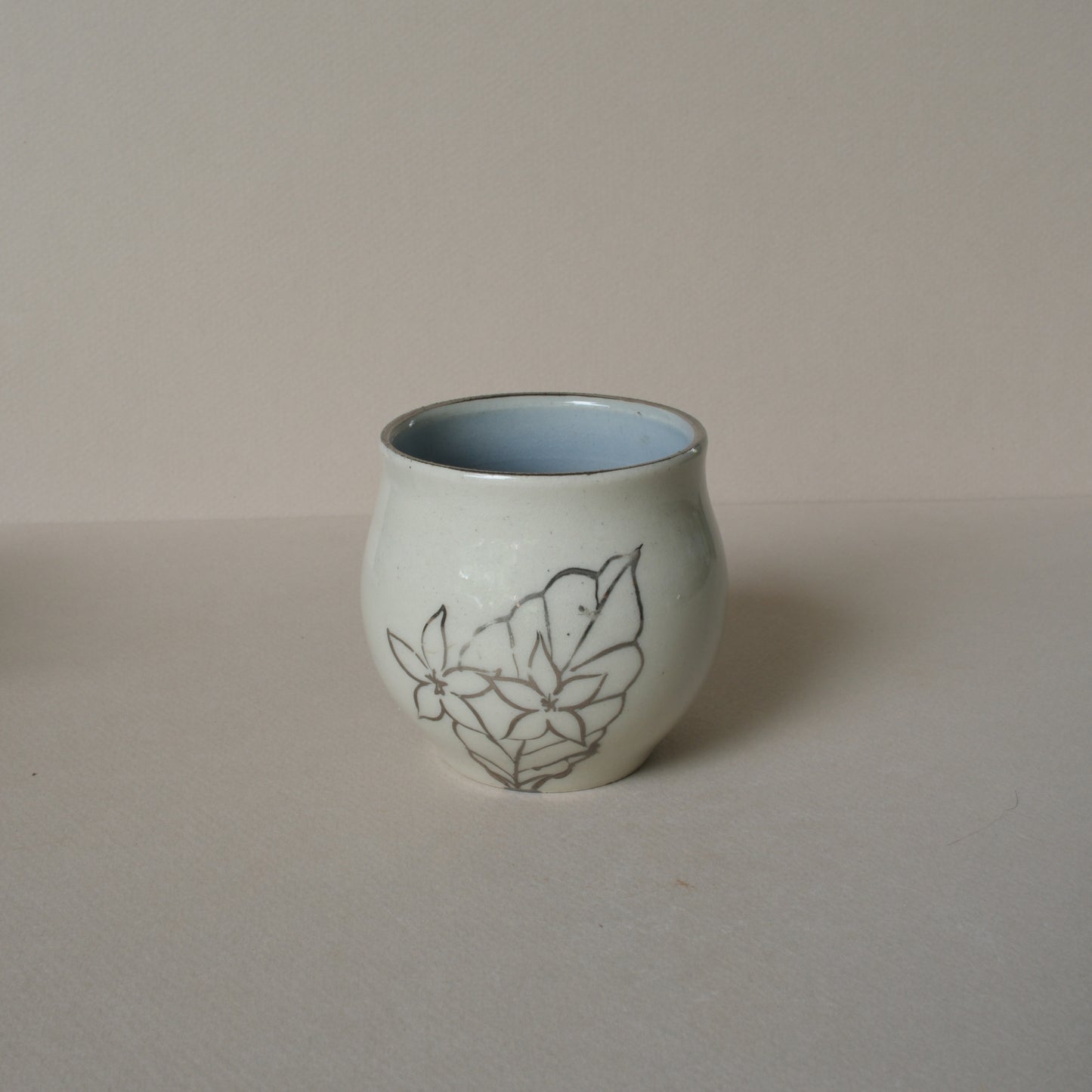 Coffee Plant | White Gold