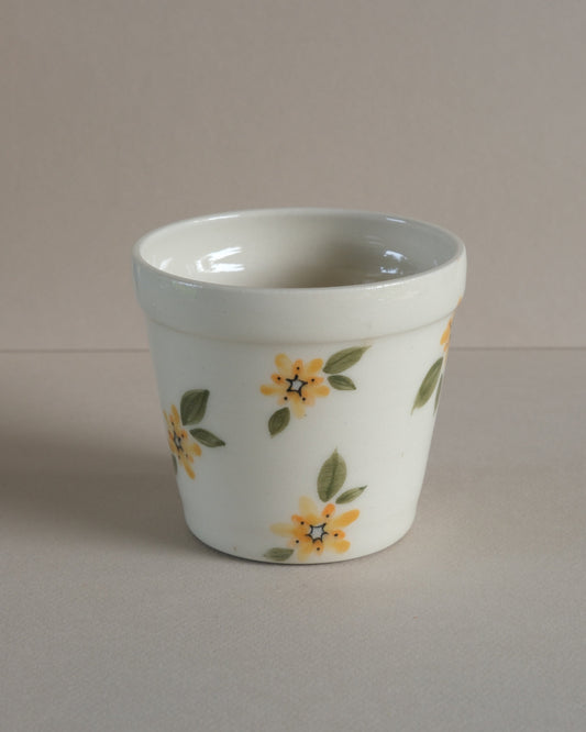 Yellow Tea Flowers | Planter