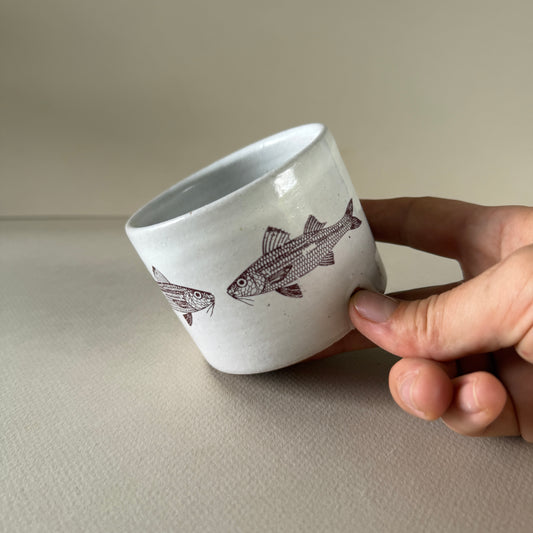 Goatfish | 8oz Cup